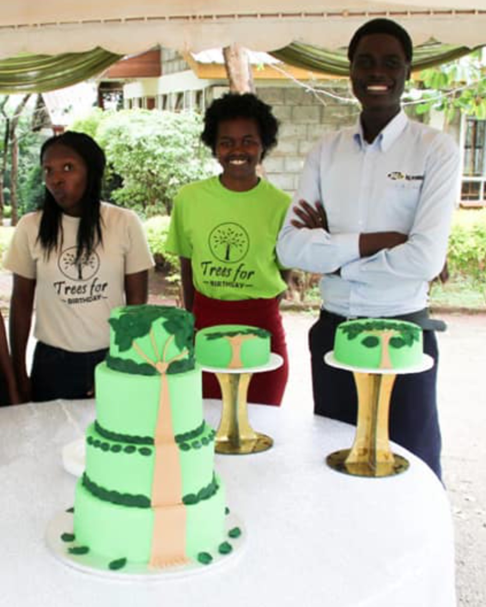 Corporate team planting trees